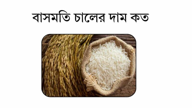 বাসমতি চালের দাম কত